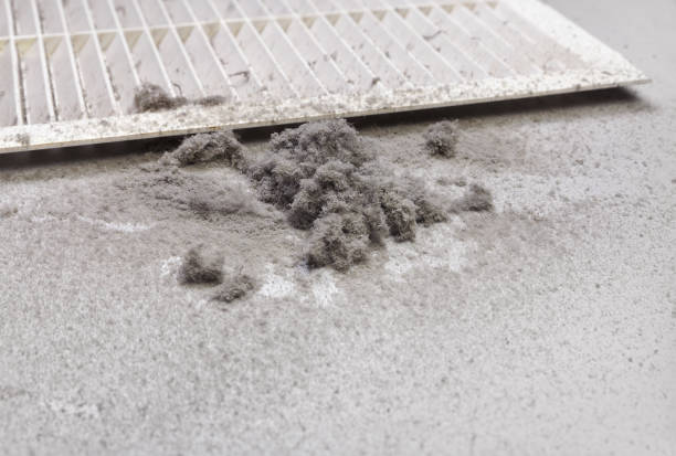 Best Air Vent Cleaning Services  in Akron, IA