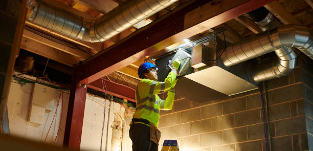 Best Air Duct Mold Removal  in Akron, IA