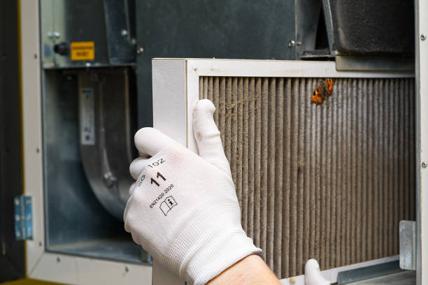 Best Duct Cleaning Specialists  in Akron, IA