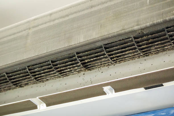 Best Home Air Vent Cleaning  in Akron, IA